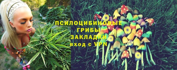 кокс Богородск