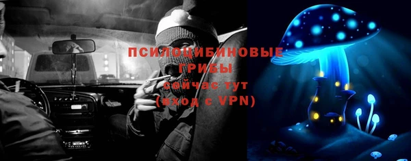 первитин Богданович